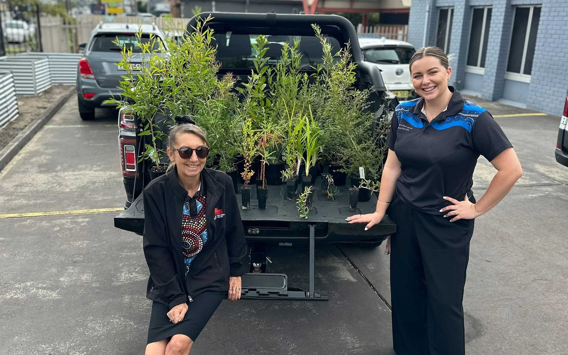 Donated Medicinal and Bush Tucker Natives